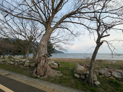 kohoku_small.jpg
